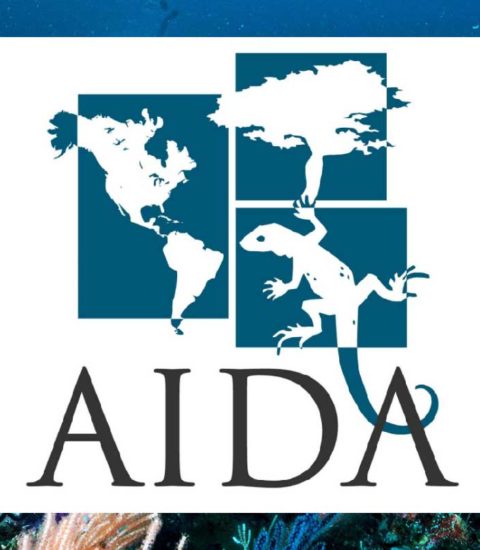 AIDA