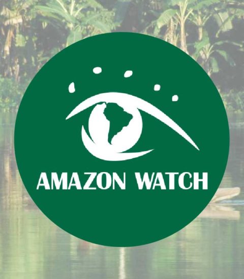 Amazon Watch