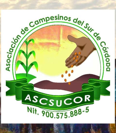 Asociación de Campesinos del Sur de Córdoba – ASCSUCOR