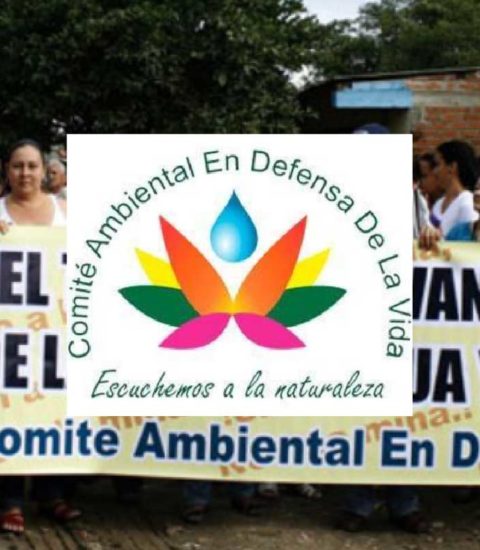 Comité Ambiental por la Defensa de la Vida Tolima
