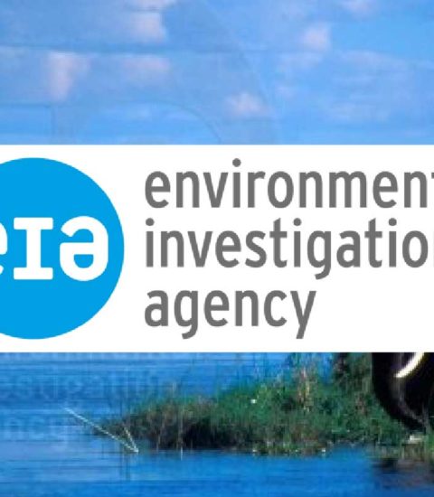 Environmental Investigation Agency – EIA