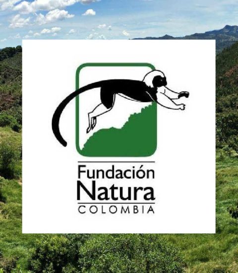 Fundación Natura