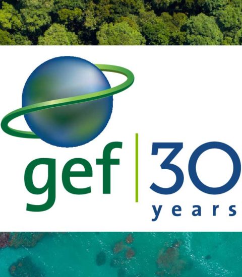 Global Environment Facility – GEF