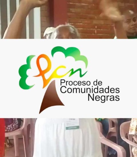 Proceso de comunidades negras