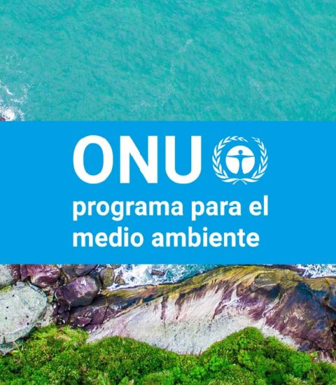Programa para el Medio Ambiente de la ONU