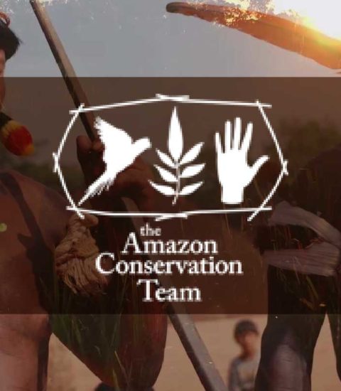 The Amazon Conservation Team