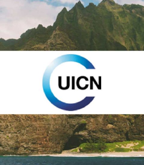 UICN