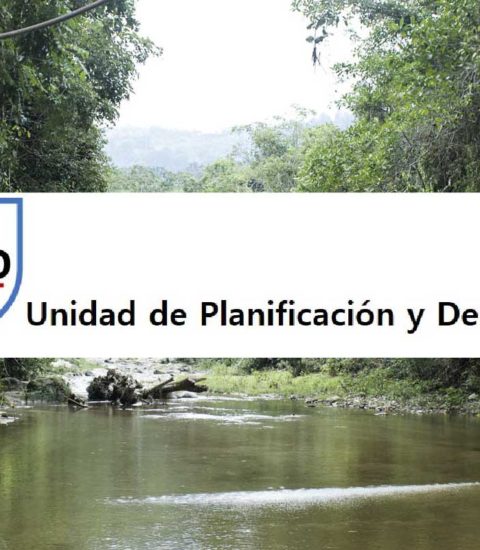 Unidad de Planificación y Desarrollo