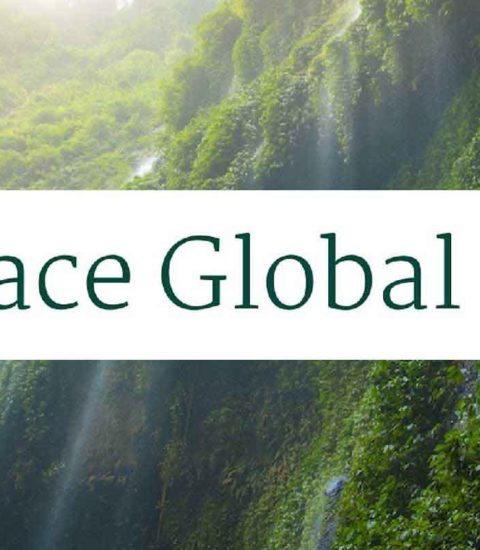 Wallace Global Fund