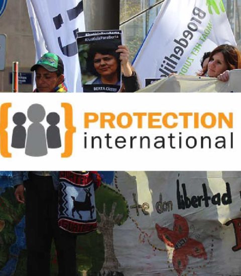 protection international