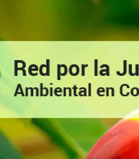 red por la justicia ambiental