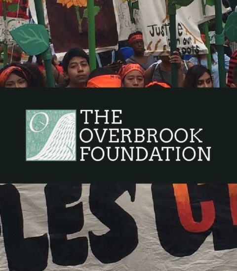 the overbrook foundation